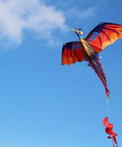 3D-Dragon-100M-Kite-Single-Line-With-Tail-Kites-Outdoor-Fun-Toy-Kite-Family-Outdoor-Sports_efb3f11a-86b7-4892-a571-b2d3db6498ae.jpg