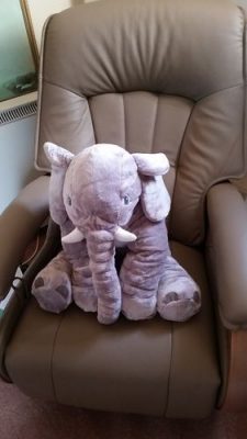 New Dumbo The Elephant Plush photo review