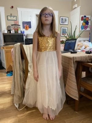 Girl Princess Fashion Dresses photo review