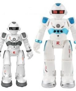 Remote-Control-Robot-Multi-function-USB-Charging-Children-s-Toy-RC-Robot-Will-Sing-Dance-Action_e835607c-8847-491a-9de2-c4656d92a546.jpg