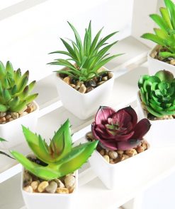 yumai-mini-Cactus-Succulent-Bonsai-Fake-Potted-for-desk-Decor-Plants-Artificial-Succulents-with-Pot-Home_f5b889d1-2820-4864-9851-3057b1a86a2f.jpg