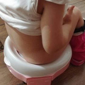 Foldable Folding Potty Seat photo review