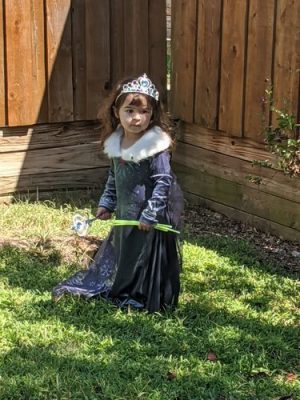 Princess Elsa Girls Dress Cosplay Dresses Costumes photo review