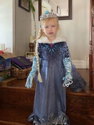 Princess Elsa Girls Dress Cosplay Dresses Costumes photo review