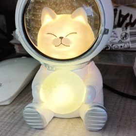 LED Astronaut Moon Lamps photo review