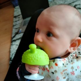 Baby Mushroom Teething Toy photo review