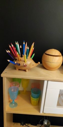 Wood Carving Hedgehog Penholder  Figurines photo review