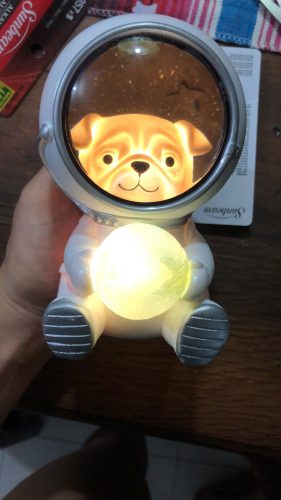LED Astronaut Moon Lamps photo review