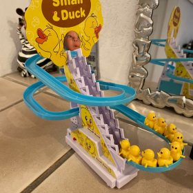 Duck Climbing Stairs Slides Set photo review