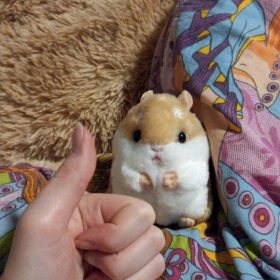 Little Hamster Cute Plush Toys Pendant photo review